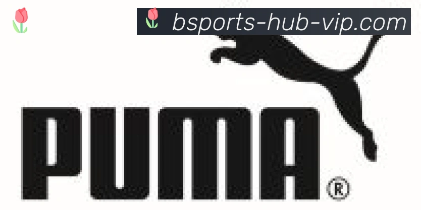 Bsports官网合作伙伴